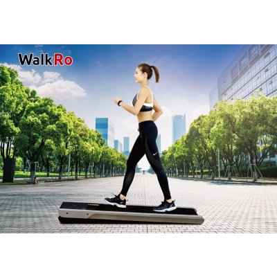 Health-One WalkRo 2.0