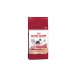 Royal Canin Medium Sensible 15 kg – Hledejceny.cz