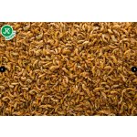 JK ANIMALS Gammarus 60 g – Zboží Mobilmania