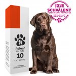 Releaf 10 CBD olej pro psy 10 ml – Zboží Dáma