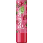 Regina Malina pomáda na rty jelení lůj 4,5 g – Zboží Dáma