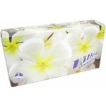 Lilien papírové kapesníčky 2-vrstvé 100 ks – Zboží Dáma