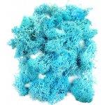 Stabilizovaný preparovaný mech lišejník do pryskyřice barevný 20 g Barva: Tyrkysová – Zboží Dáma