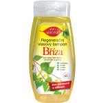BC Bione Cosmetics vlasový šampon Bříza 255 ml – Hledejceny.cz