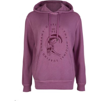 O'Neill Beach Wash sweat hoody – Zboží Mobilmania