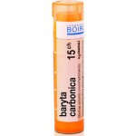 BARYTA CARBONICA POR 15CH GRA 1X4G – Hledejceny.cz