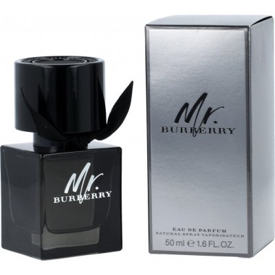 Burberry Mr. Burberry parfémovaná voda pánská 50 ml – Hledejceny.cz