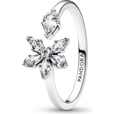 Pandora 192611C01 – Zboží Dáma