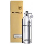 Montale Wood & Spices parfémovaná voda pánská 100 ml – Hledejceny.cz