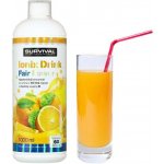 Survival Ionix Drink Fair Power® Hypotonický Nápoj ananas-mango| 1000 ml – Hledejceny.cz