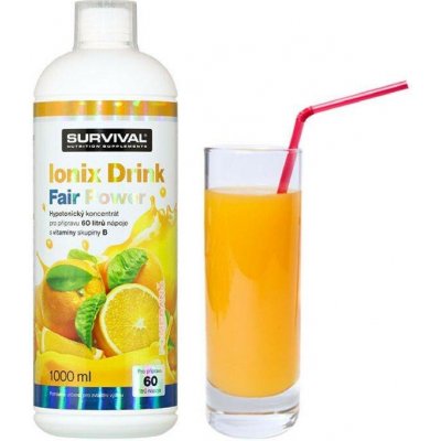 Survival Ionix Drink Fair Power® Hypotonický Nápoj ananas-mango| 1000 ml – Hledejceny.cz