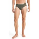 Icebreaker pánské slipy Mens Anatomica Briefs Loden – Sleviste.cz