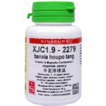Sinecura XJC1.9-2279 banxia houpo tang 60 tablet – Hledejceny.cz