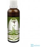 Maralí kořen leuzea bylinná tinktura na celkové posílení organismu 50 ml – Hledejceny.cz
