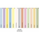 Rey Barevný papír Adagio Pastel zelený A4 80 g 500 listů – Hledejceny.cz