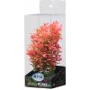 Akvarijní rostlina I--Z ATG Premium rostlina malá 18 až 25 cm 301