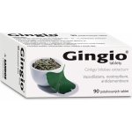 GINGIO POR 40MG TBL FLM 90 – Hledejceny.cz