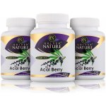 Golden Nature Acai berry 2+1 300 kapslí – Hledejceny.cz