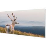 akrylový obraz jelen hory 100x50 cm – Hledejceny.cz