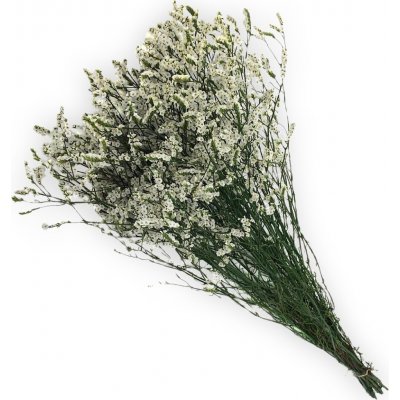 Limonium sinensis stabilizovaná natural – Zboží Dáma