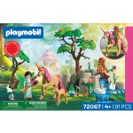 Playmobil 72067 Víly na výletě – Zboží Živě
