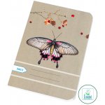 Papírny Brno Sešity školní ECONOMY A5 čistý 560 – Zboží Dáma