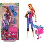 Barbie Wellness Fitness herní set s panenkou – Zbozi.Blesk.cz