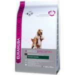 Eukanuba Cocker Spaniel 2,5 kg – Hledejceny.cz