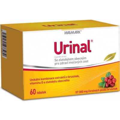 Walmark Idelyn Urinal 60 tablet – Hledejceny.cz