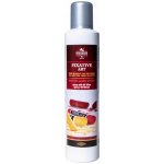 Koh-i-noor Fixativ Art 14259 sprej s UV filtrem, 300 ml – Sleviste.cz