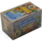 Green idea Lymforegen na lymfatický systém bylinný čaj 20 x 1,5 g – Zboží Dáma