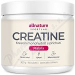 Allnature Sportlab Creatine monohydrát 300 g – Hledejceny.cz