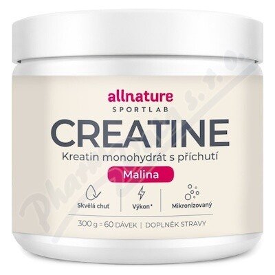 Allnature Sportlab Creatine monohydrát 300 g – Hledejceny.cz