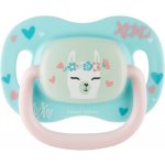 Canpol Babies symetrický silikon dudlík svítící Exotic Koala mátová – Zboží Dáma