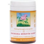 TCM Herbs Procházka růžovým sadem 100 tablet – Hledejceny.cz