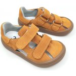 Jonap Daisy modrá – Zbozi.Blesk.cz