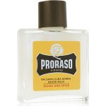 Proraso Wood and Spice balzám po holení 100 ml – Zboží Mobilmania