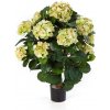 Květina Luxusní umělá květina HYDRANGEA KOULE DELUXE S KVĚTINÁČEM, 62 cm