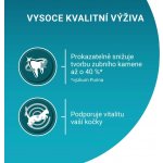 Purina One Bifensis adult losos a celozrnné obiloviny 0,8 kg – Zboží Dáma
