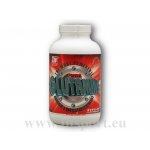 ATP Pure Glutamine 300 g – Hledejceny.cz