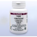 Sinecura Hloh shanzha rou prášek 20 g – Hledejceny.cz