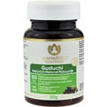 Maharishi Ayurveda Guduchi Tinospora Cordifolia 60 tablet – Hledejceny.cz