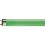 Philips MASTER Massive TL-D 36W 17 G13 barevná lineární zářivka – Zboží Živě