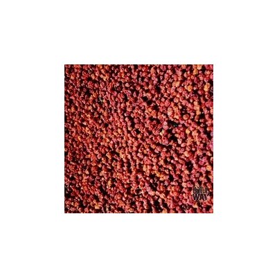 Bylinná lékárna Sorbus aucuparia Jeřabina plod jeřáb červený ptačí jeřáb 500 g – Zboží Dáma