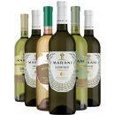 Víno Marani Saperavi gruzínské červené suché 2022 13,5% 0,75 l (holá láhev)