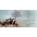 Pozvánka DL 051 – Zbozi.Blesk.cz