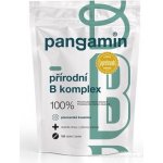 Pangamin přírodní B komplex tablet 120 – Hledejceny.cz