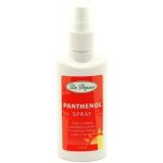 Dr. Popov Panthenol spray 110 ml – Zbozi.Blesk.cz