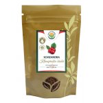 Salvia Paradise Schizandra mletý plod 100 g – Hledejceny.cz