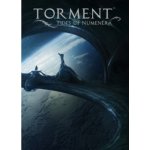 Torment: Tides of Numenera – Zboží Živě